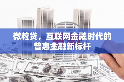 桃江微粒贷，互联网金融时代的普惠金融新标杆