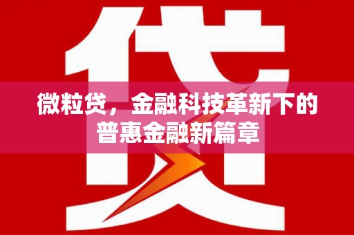 桃江微粒贷，金融科技革新下的普惠金融新篇章