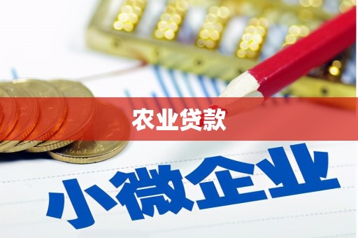 桃江农业贷款