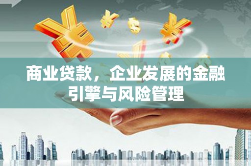 桃江商业贷款，企业发展的金融引擎与风险管理