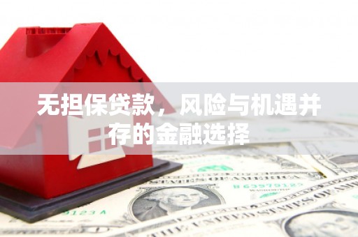 桃江无担保贷款，风险与机遇并存的金融选择