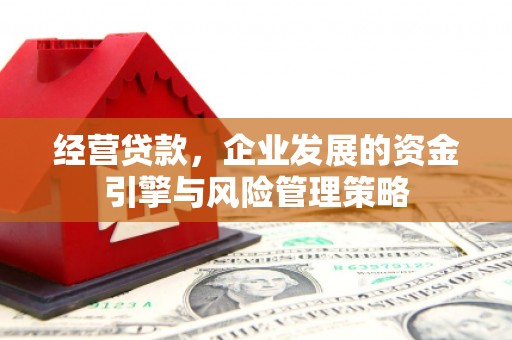桃江经营贷款，企业发展的资金引擎与风险管理策略