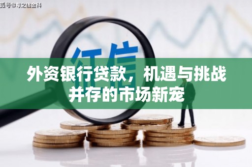 桃江外资银行贷款，机遇与挑战并存的市场新宠