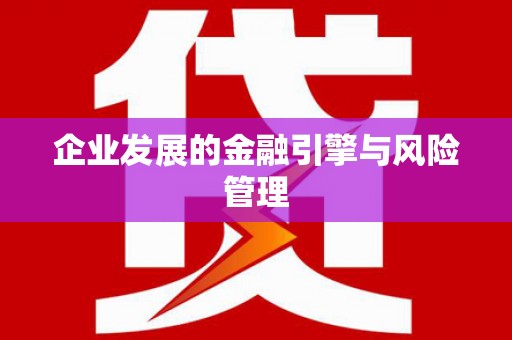 桃江企业发展的金融引擎与风险管理