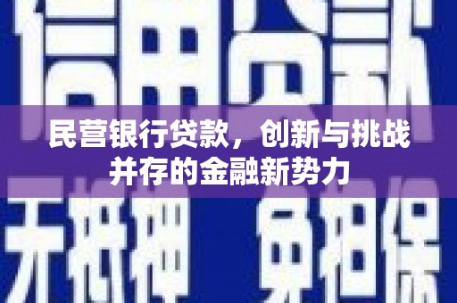 桃江民营银行贷款，创新与挑战并存的金融新势力