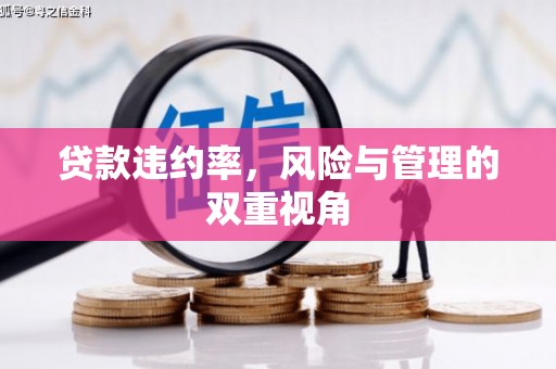 桃江贷款违约率，风险与管理的双重视角