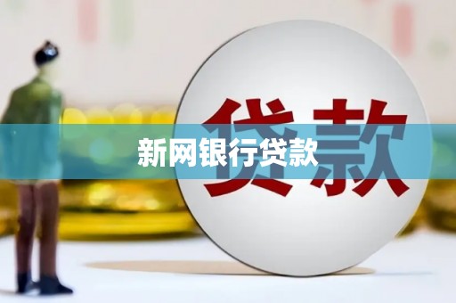 桃江新网银行贷款