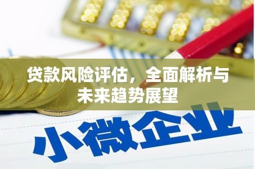 桃江贷款风险评估，全面解析与未来趋势展望