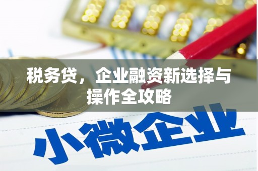 桃江税务贷，企业融资新选择与操作全攻略