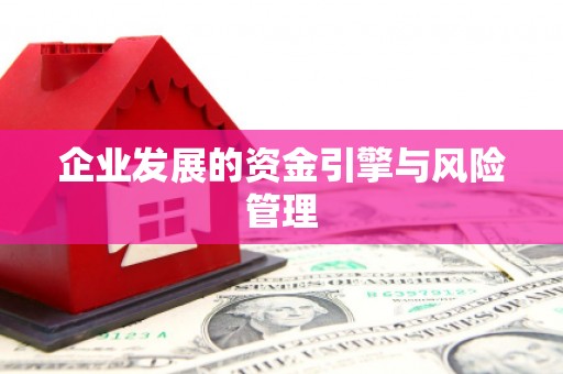 桃江企业发展的资金引擎与风险管理