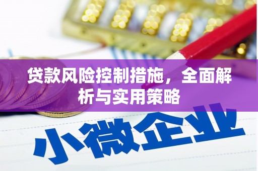桃江贷款风险控制措施，全面解析与实用策略