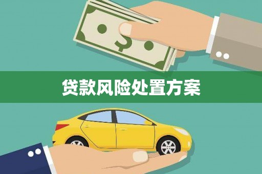 桃江贷款风险处置方案