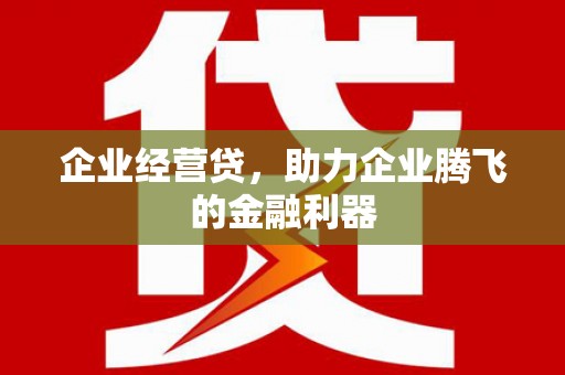 桃江企业经营贷，助力企业腾飞的金融利器