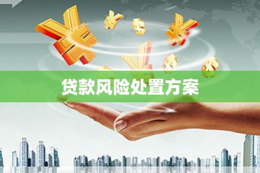 桃江贷款风险处置方案
