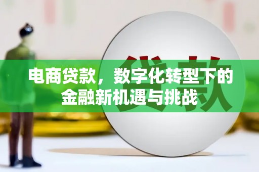 桃江电商贷款，数字化转型下的金融新机遇与挑战