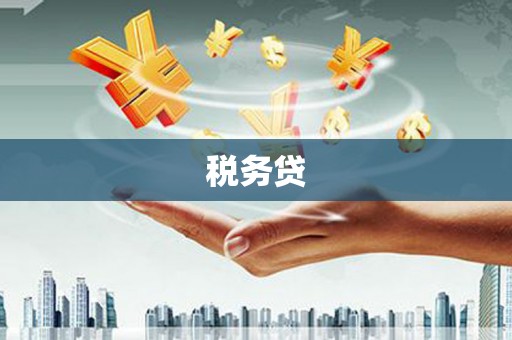 桃江税务贷