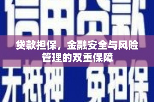 桃江贷款担保，金融安全与风险管理的双重保障
