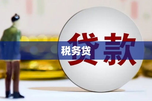 桃江税务贷