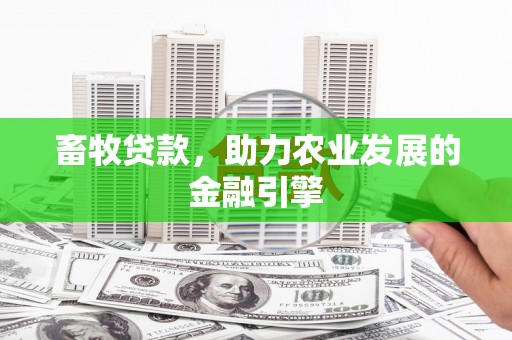 桃江畜牧贷款，助力农业发展的金融引擎