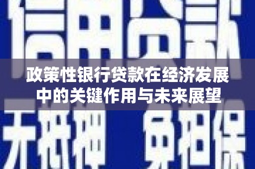 桃江政策性银行贷款在经济发展中的关键作用与未来展望