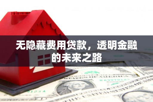 桃江无隐藏费用贷款，透明金融的未来之路