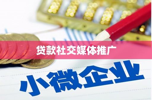 桃江贷款社交媒体推广