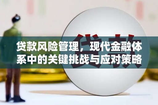 桃江贷款风险管理，现代金融体系中的关键挑战与应对策略