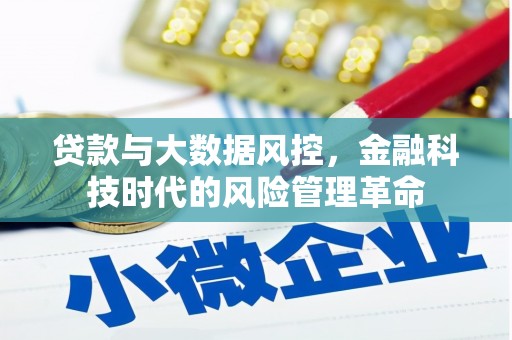 桃江贷款与大数据风控，金融科技时代的风险管理革命
