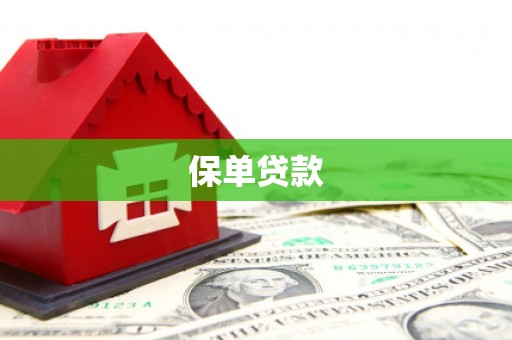 桃江保单贷款