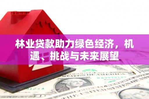 桃江林业贷款助力绿色经济，机遇、挑战与未来展望