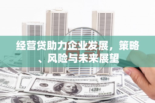 桃江经营贷助力企业发展，策略、风险与未来展望
