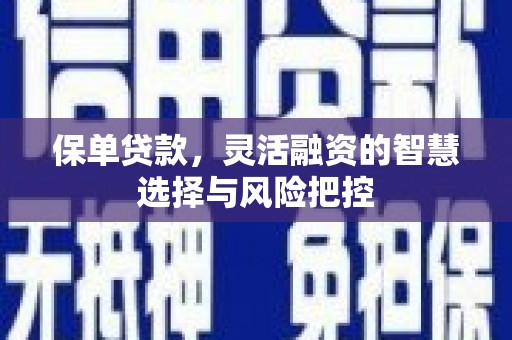 桃江保单贷款，灵活融资的智慧选择与风险把控