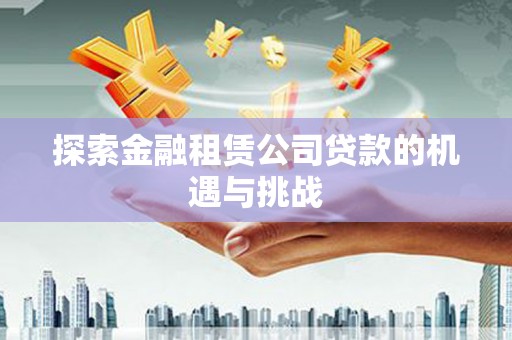 桃江探索金融租赁公司贷款的机遇与挑战