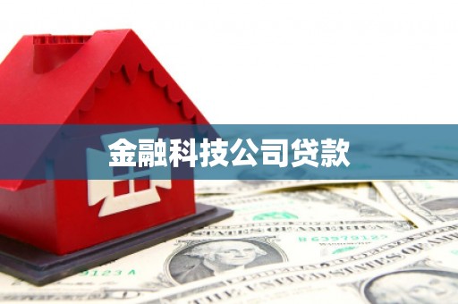 桃江金融科技公司贷款