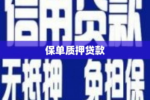 桃江保单质押贷款