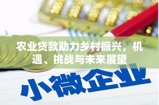 桃江农业贷款助力乡村振兴，机遇、挑战与未来展望