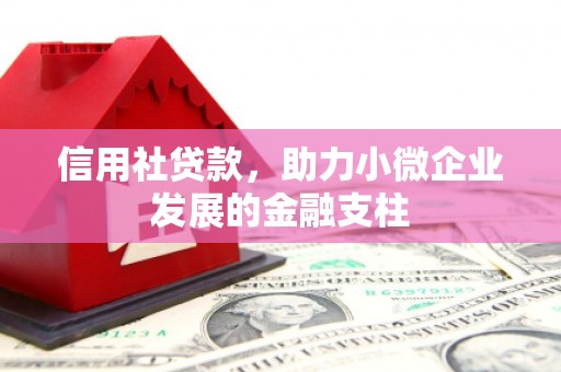 桃江信用社贷款，助力小微企业发展的金融支柱