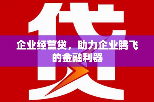 桃江企业经营贷，助力企业腾飞的金融利器