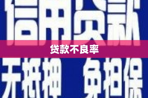 桃江贷款不良率