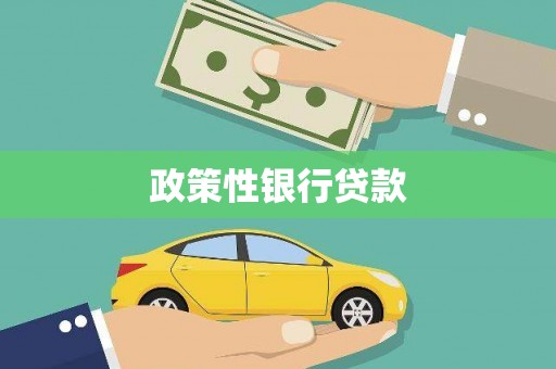 桃江政策性银行贷款