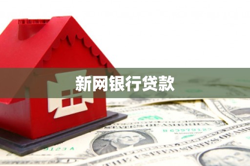 桃江新网银行贷款