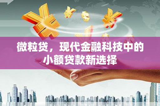 桃江微粒贷，现代金融科技中的小额贷款新选择