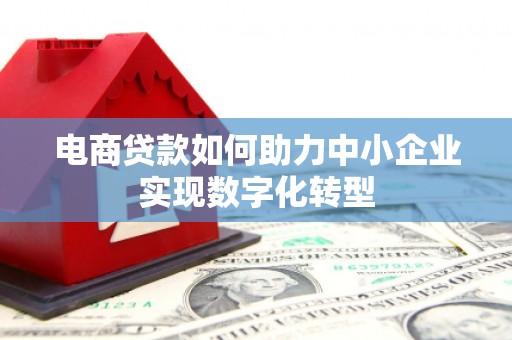 桃江电商贷款如何助力中小企业实现数字化转型