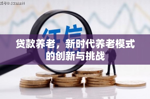 桃江贷款养老，新时代养老模式的创新与挑战
