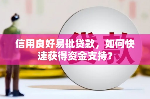 桃江信用良好易批贷款，如何快速获得资金支持？