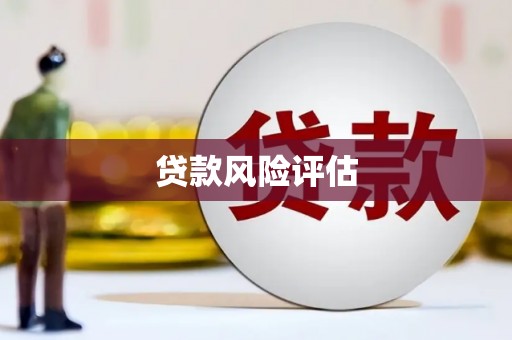 桃江贷款风险评估