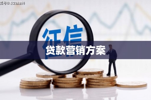 桃江贷款营销方案