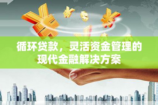桃江循环贷款，灵活资金管理的现代金融解决方案
