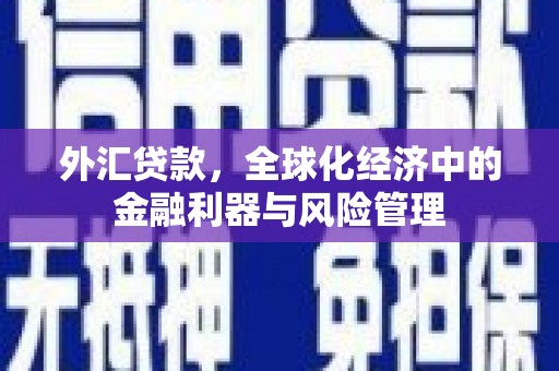 桃江外汇贷款，全球化经济中的金融利器与风险管理