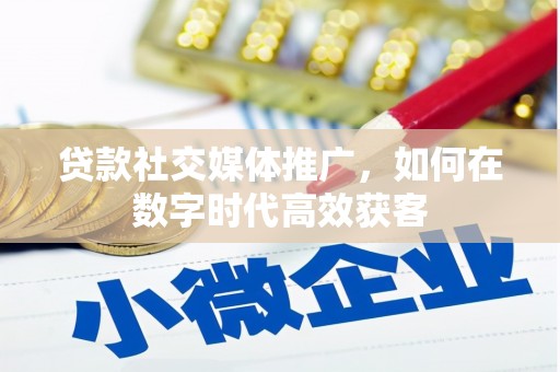 桃江贷款社交媒体推广，如何在数字时代高效获客